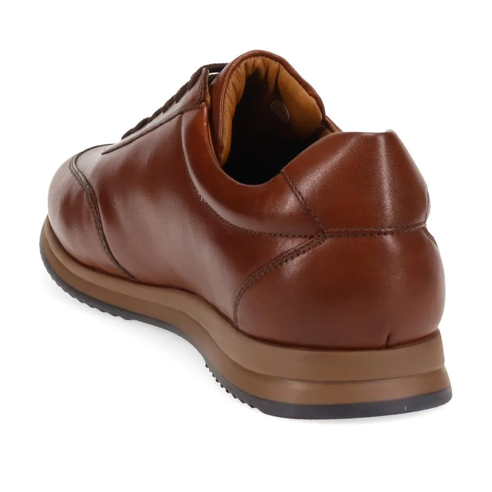 Southend2 Leather Trainers - SOUTHEND2 / 325 111 - Dark Brown sold by Jones Bootmaker product image thumbnail 3