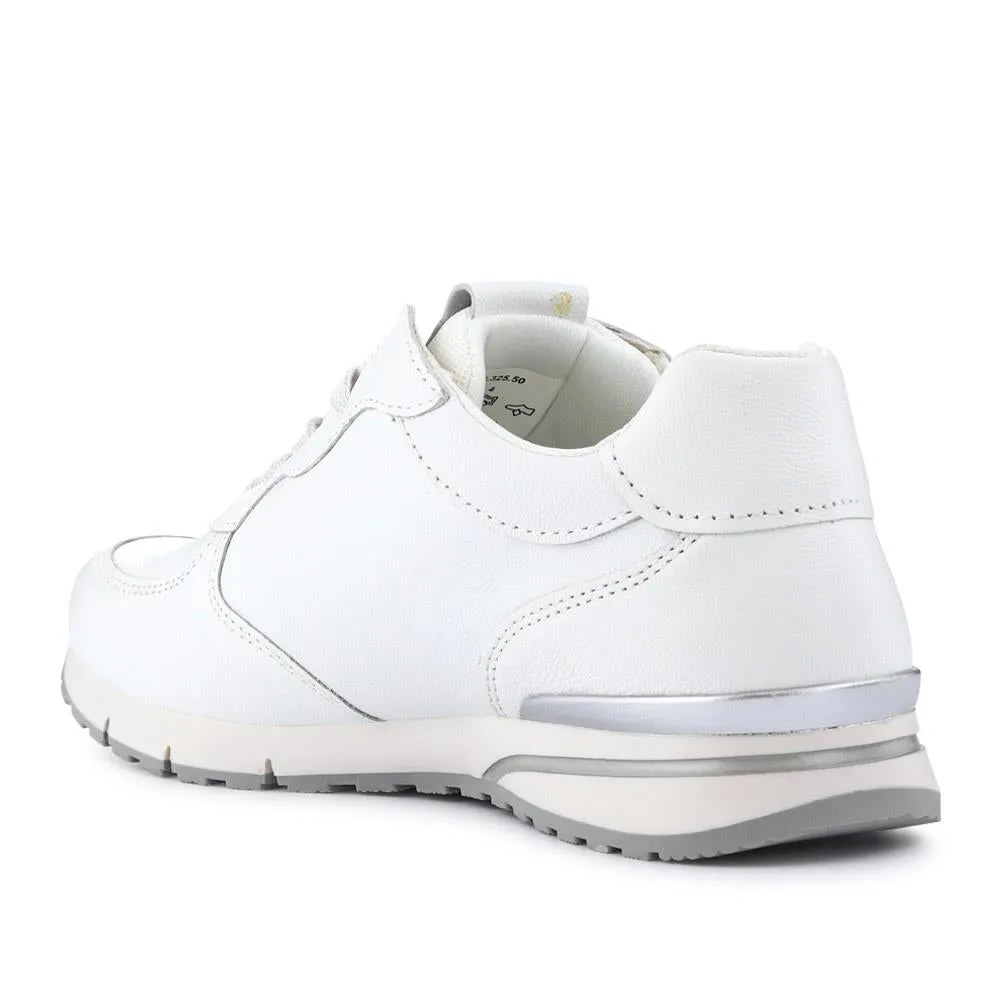 Pauline Gabor Casual Lace-Up Trainers - GAB41518 / 327 032 - White sold by Jones Bootmaker product image thumbnail 3