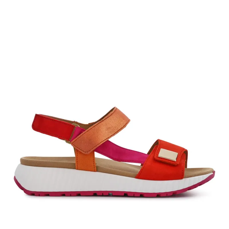 Gifted Gabor Leather Touch-Fasten Sandals - GAB41509 / 326 994 - Multi sold by Jones Bootmaker