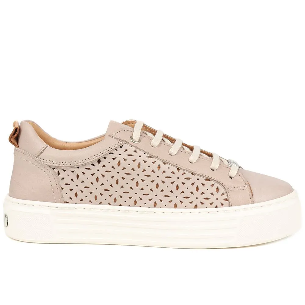 Ariella Cut Out Detailed Trainers - ARIELLA / 325 317 - Taupe sold by Jones Bootmaker