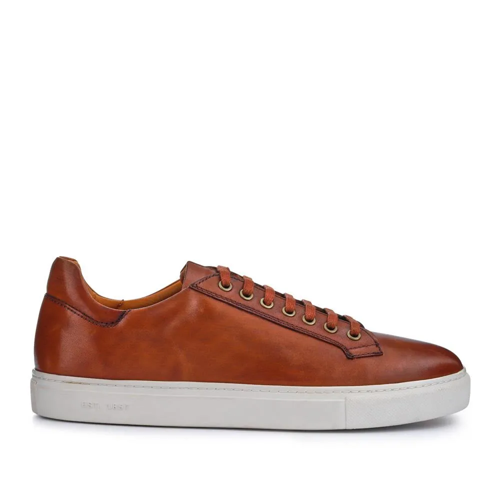 Simon Leather Men's Trainers - SIMON / 319 270 - Tan sold by Jones Bootmaker