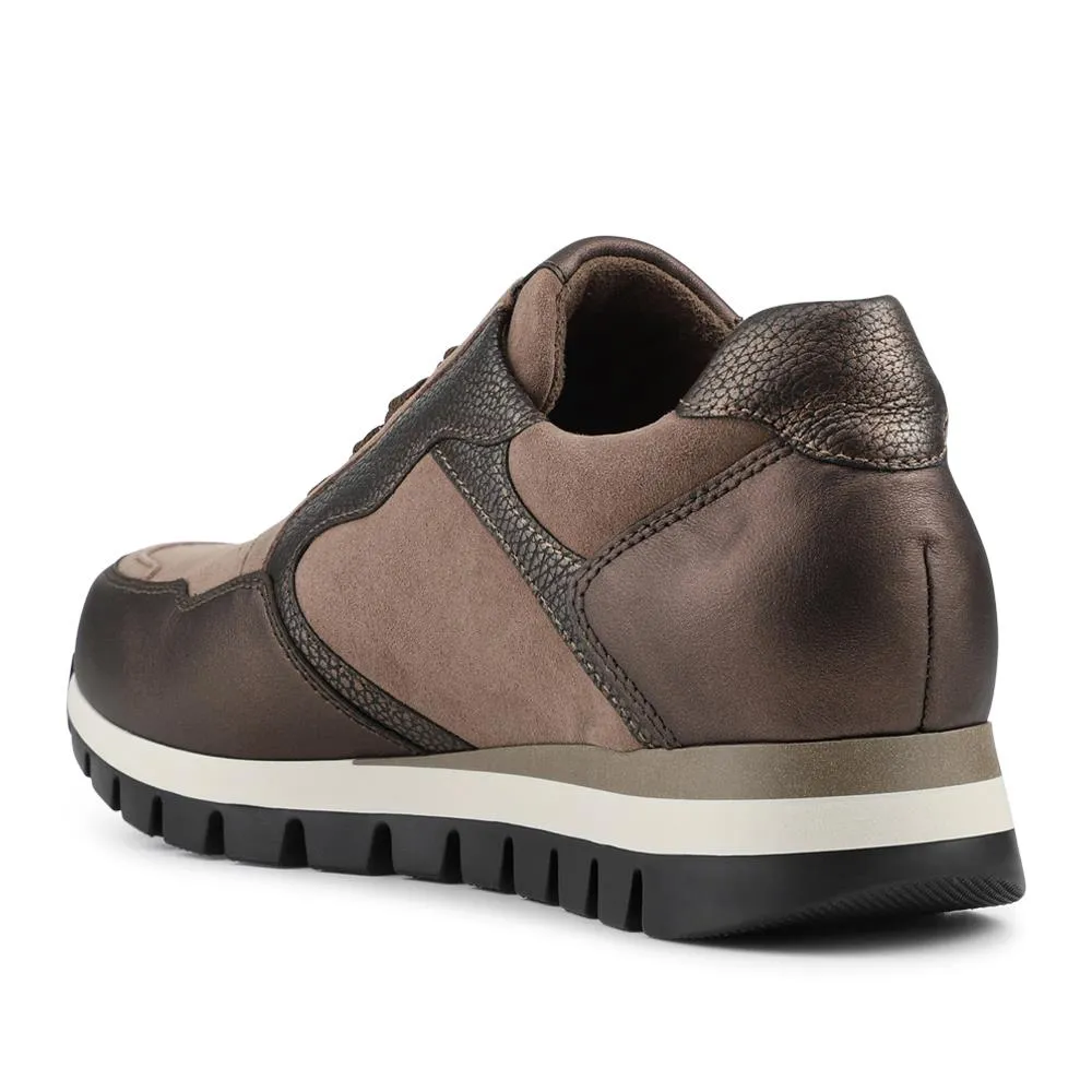 Willett Gabor Leather Trainers - GAB36546 / 322 982 - Taupe sold by Jones Bootmaker product image thumbnail 3