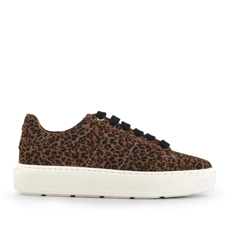 Astra Leather Trainers - ASTRA / 328 533 - Leopard sold by Jones Bootmaker