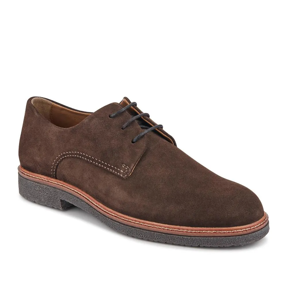 Lance Suede Leather Casual Lace Up Shoes - LANCE / 328 072 - Dark Brown Suede sold by Jones Bootmaker product image thumbnail 2