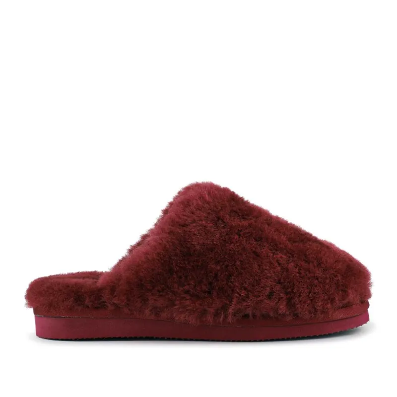 Freesia Sheepskin Slippers - FREESIA / 328 491 sold by Jones Bootmaker