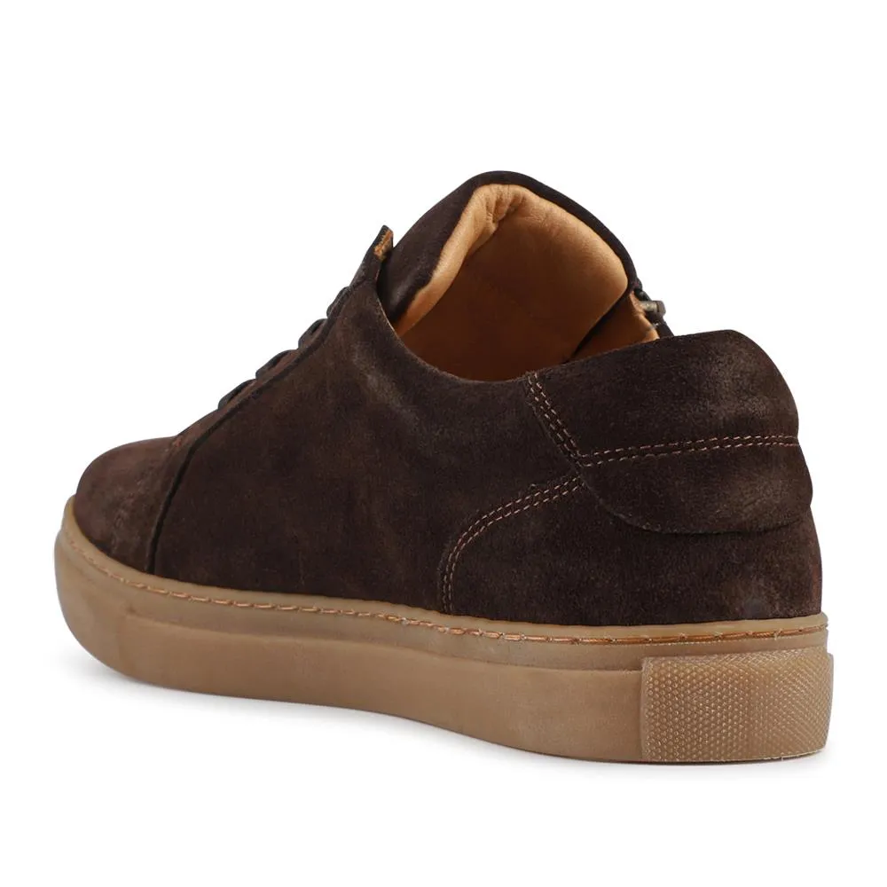 Padova2 Leather Lace-Up Trainers - PADOVA2 / 324 917 - Choco Suede sold by Jones Bootmaker product image thumbnail 3