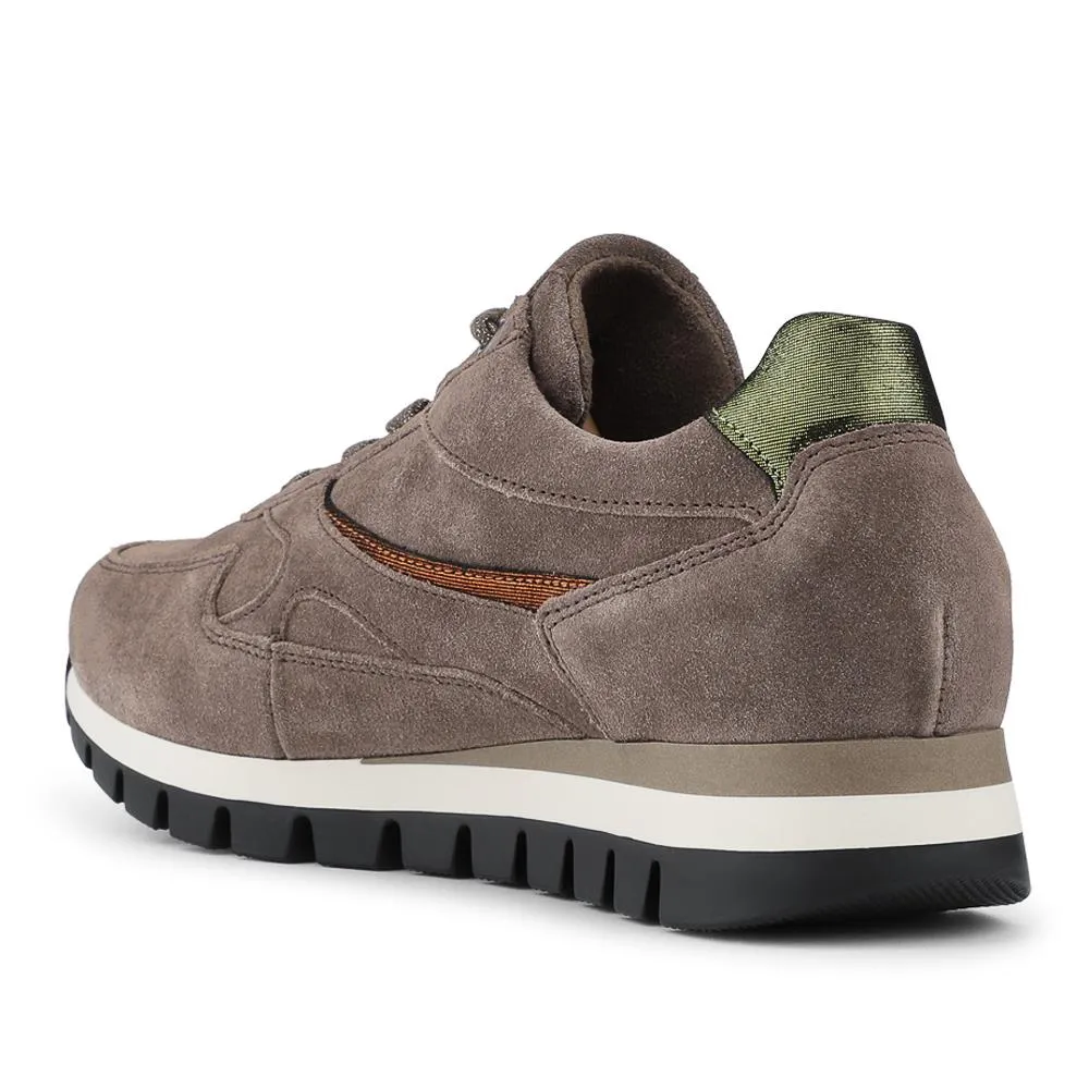 Gabor Wide Fit Leather Zip Fasten Trainers - GAB42542 / 328 955 - Khaki Suede sold by Jones Bootmaker