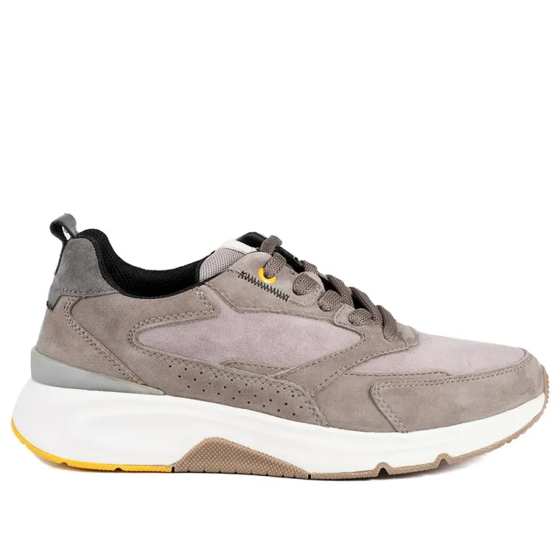 Gabor Leather Low Top Trainers - GAB42553 / 329 082 - Taupe sold by Jones Bootmaker