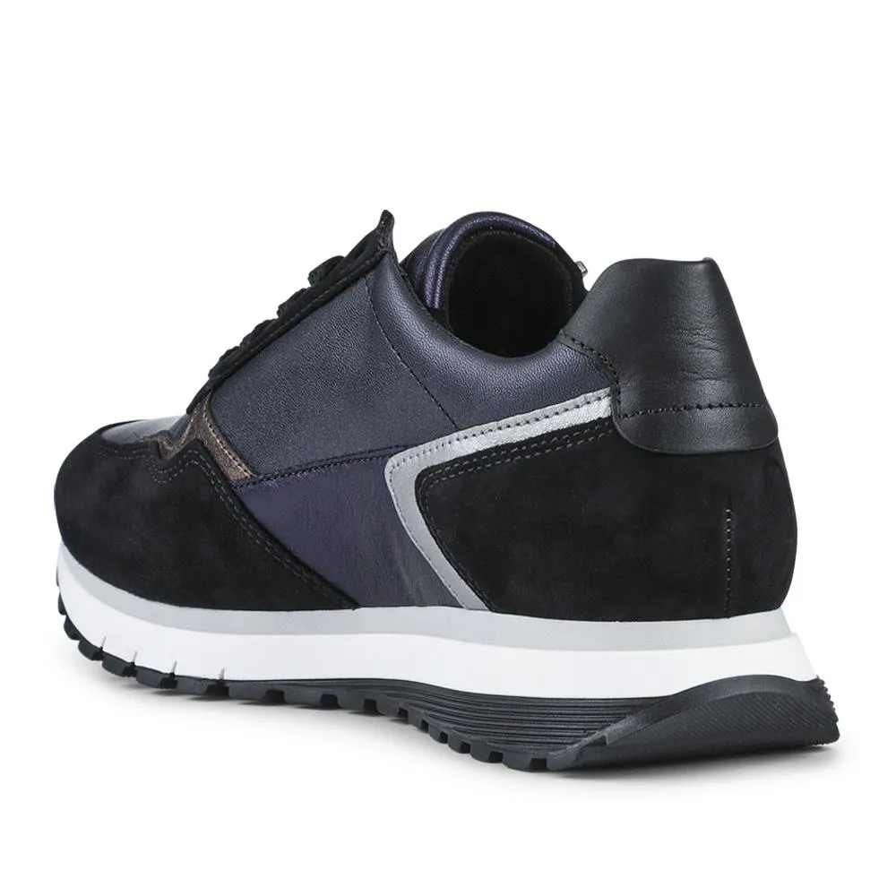 Hollywell Gabor Leather Zip & Lace Trainers - GAB42502 / 327 741 - Navy Multi sold by Jones Bootmaker product image thumbnail 4