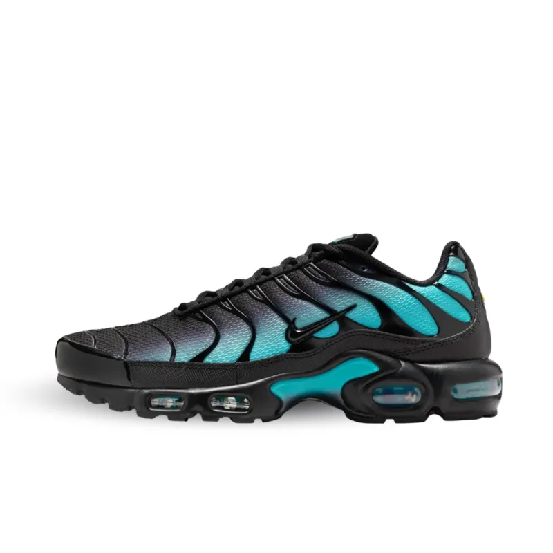 Nike Air Max Plus Black Dusty Cactus sold by KeepItSneaker
