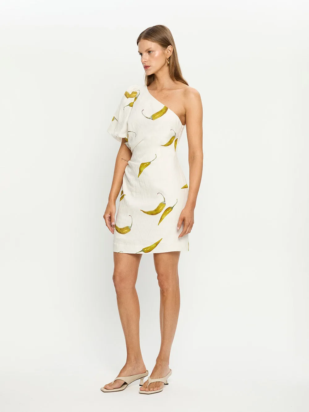 Margarita Mini Dress sold by Kivari product image thumbnail 3