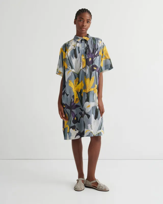 Radiate Dress made by Kowtow
