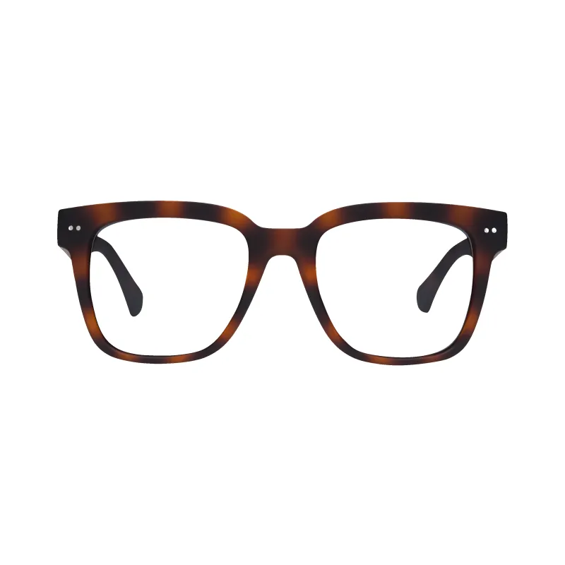 Laurel Sun Progressives made by LOOKOptic