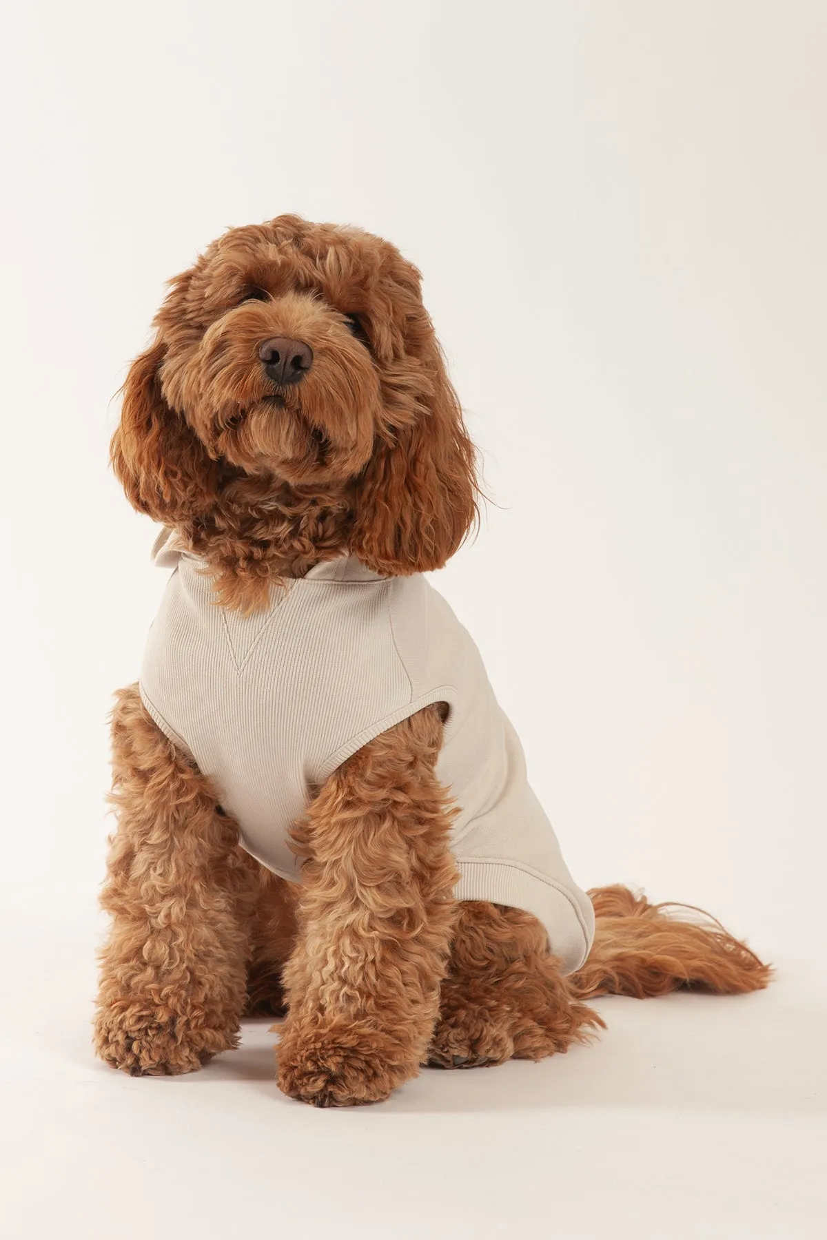 French Terry Lightweight Dog Hoodie sold by Lazypants
