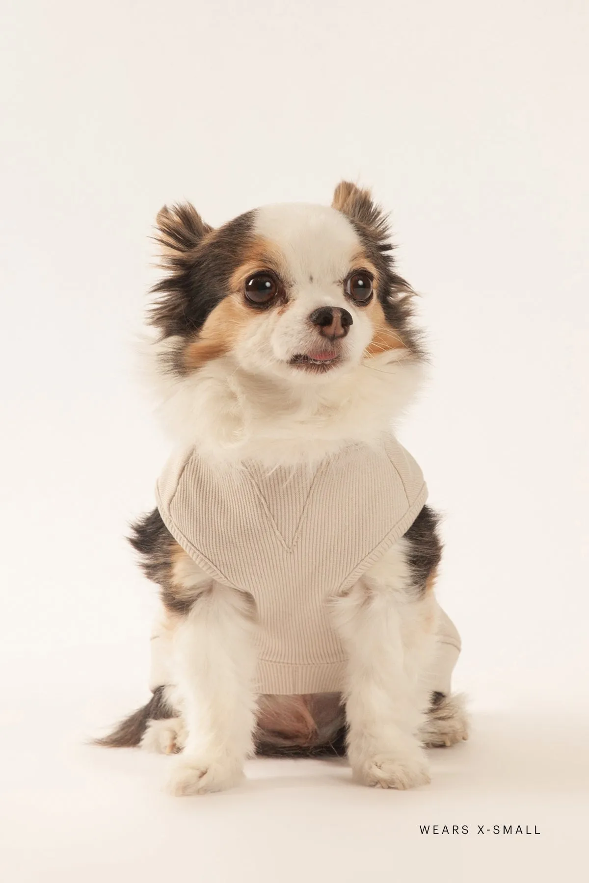French Terry Lightweight Dog Hoodie sold by Lazypants product image thumbnail 4