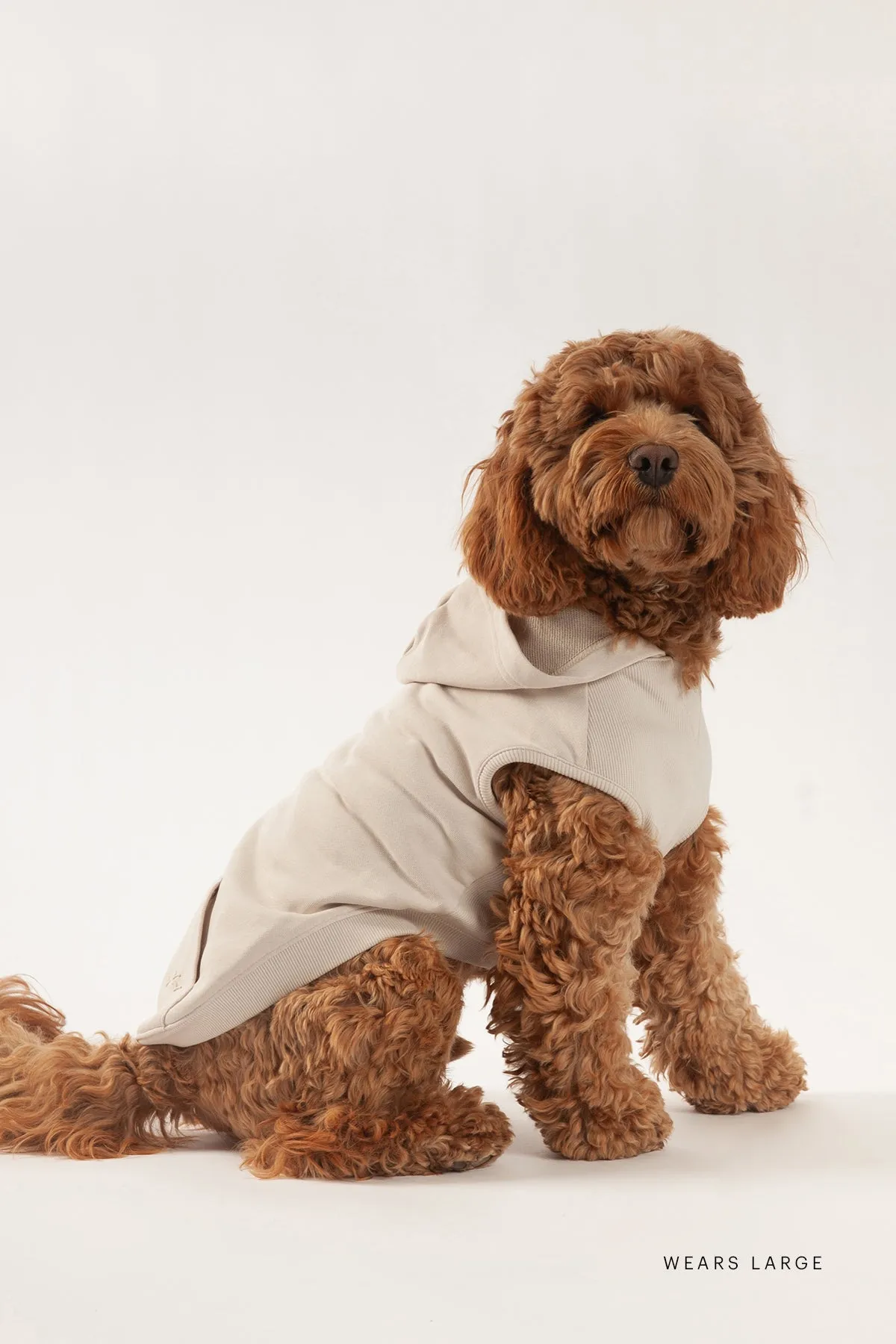French Terry Lightweight Dog Hoodie sold by Lazypants product image thumbnail 3