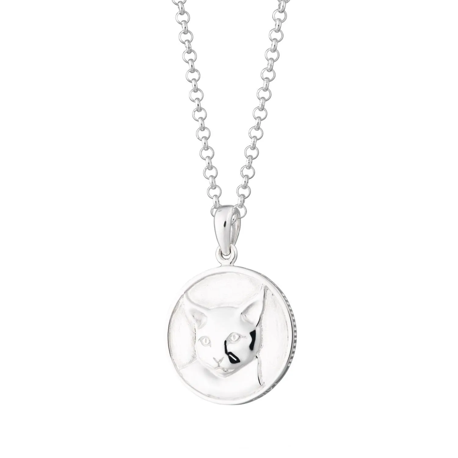 Silver Cat Heads and Tails Necklace sold by Lily Charmed product image thumbnail 5