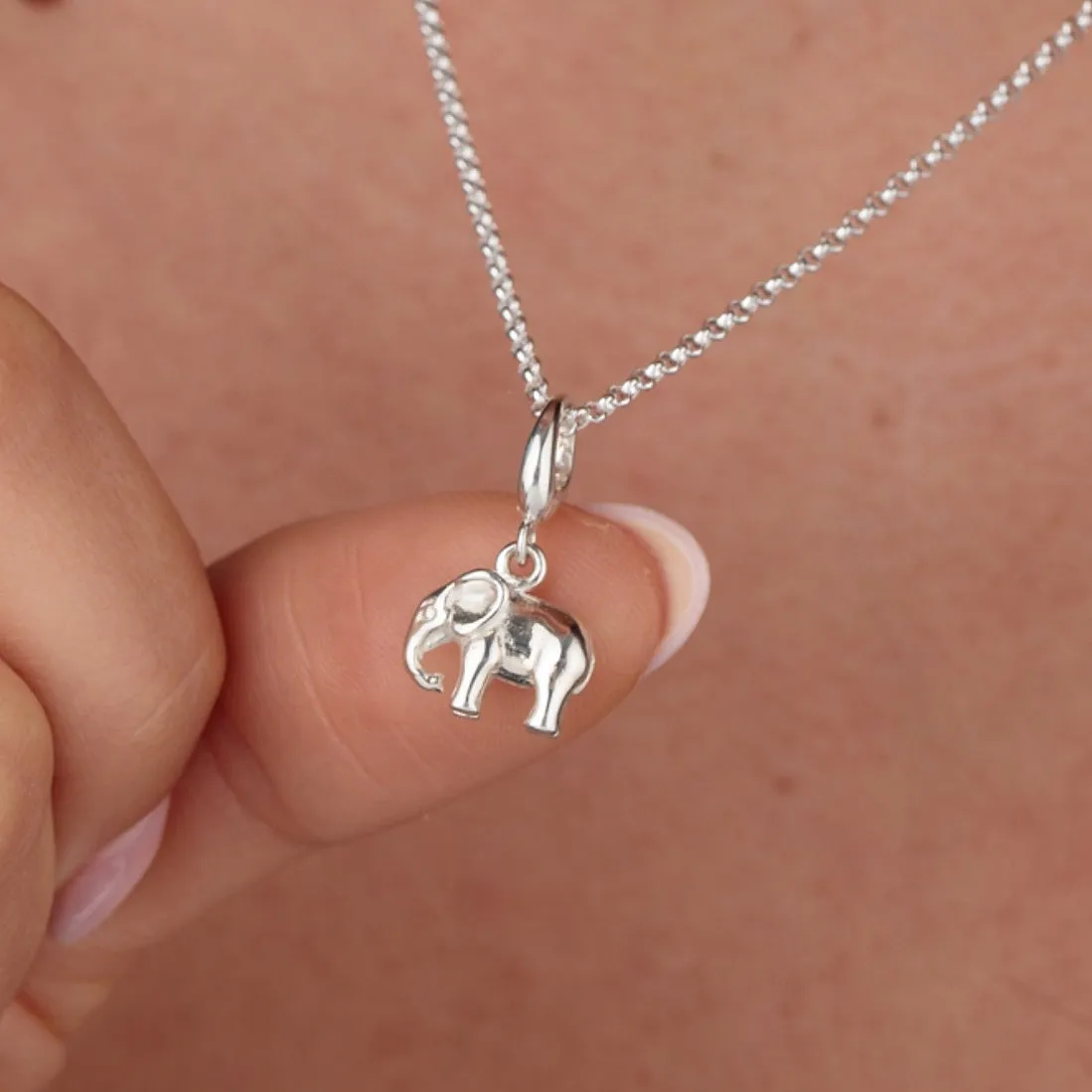 Silver Elephant Jewellery Set With Stud Earrings sold by Lily Charmed product image thumbnail 2