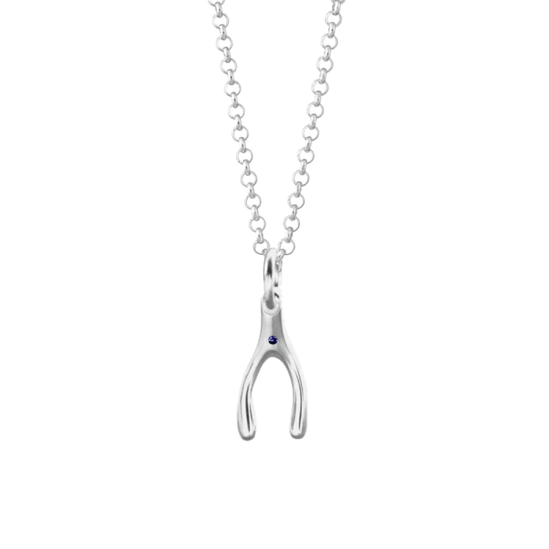 Silver and Sapphire Wishbone Necklace sold by Lily Charmed