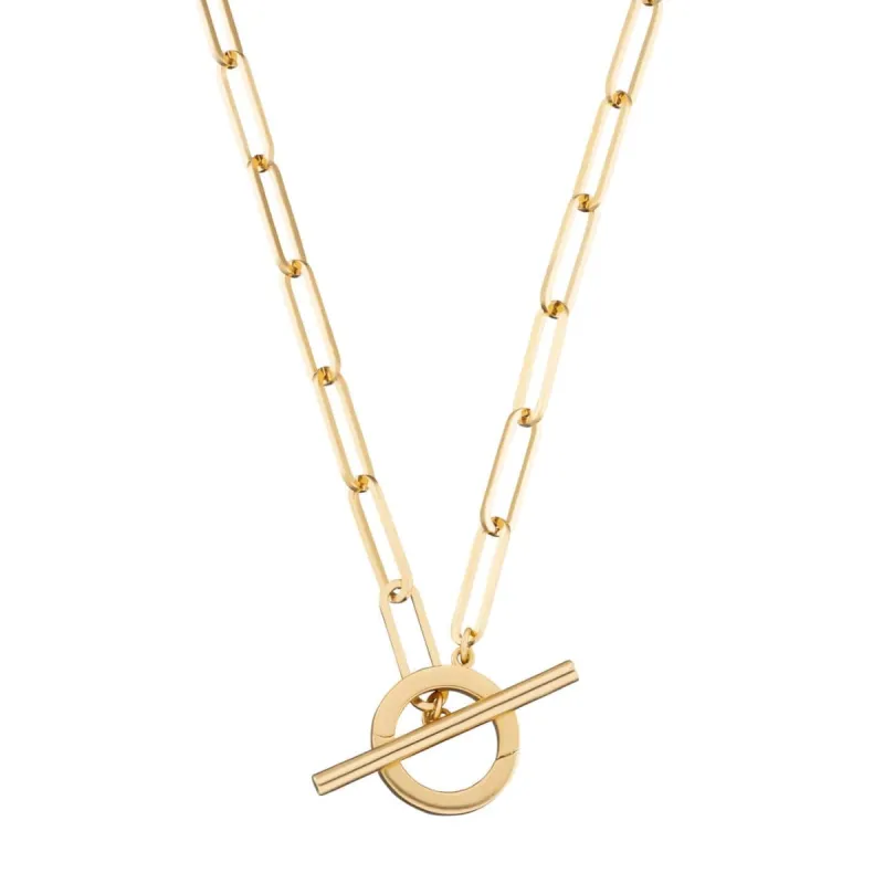 Gold Long Link Charm Collector Necklace sold by Lily Charmed