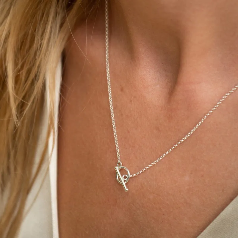 Silver T-Bar Charm Collector Necklace sold by Lily Charmed