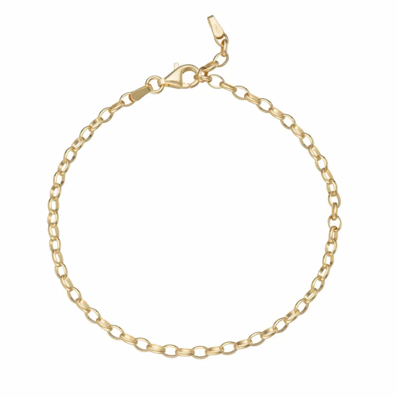 Gold Plated Charm Bracelet sold by Lily Charmed