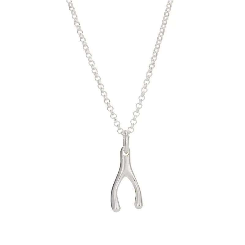 Silver Wishbone Necklace sold by Lily Charmed
