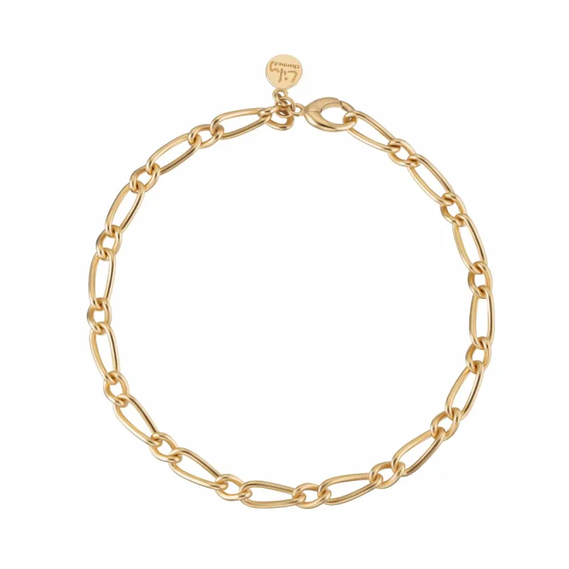 Gold Plated My Story Charm Collector Bracelet sold by Lily Charmed
