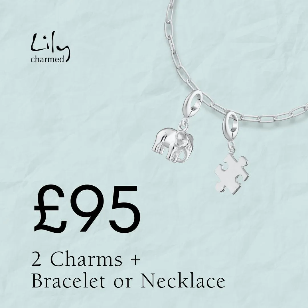 Charm Bundle sold by Lily Charmed