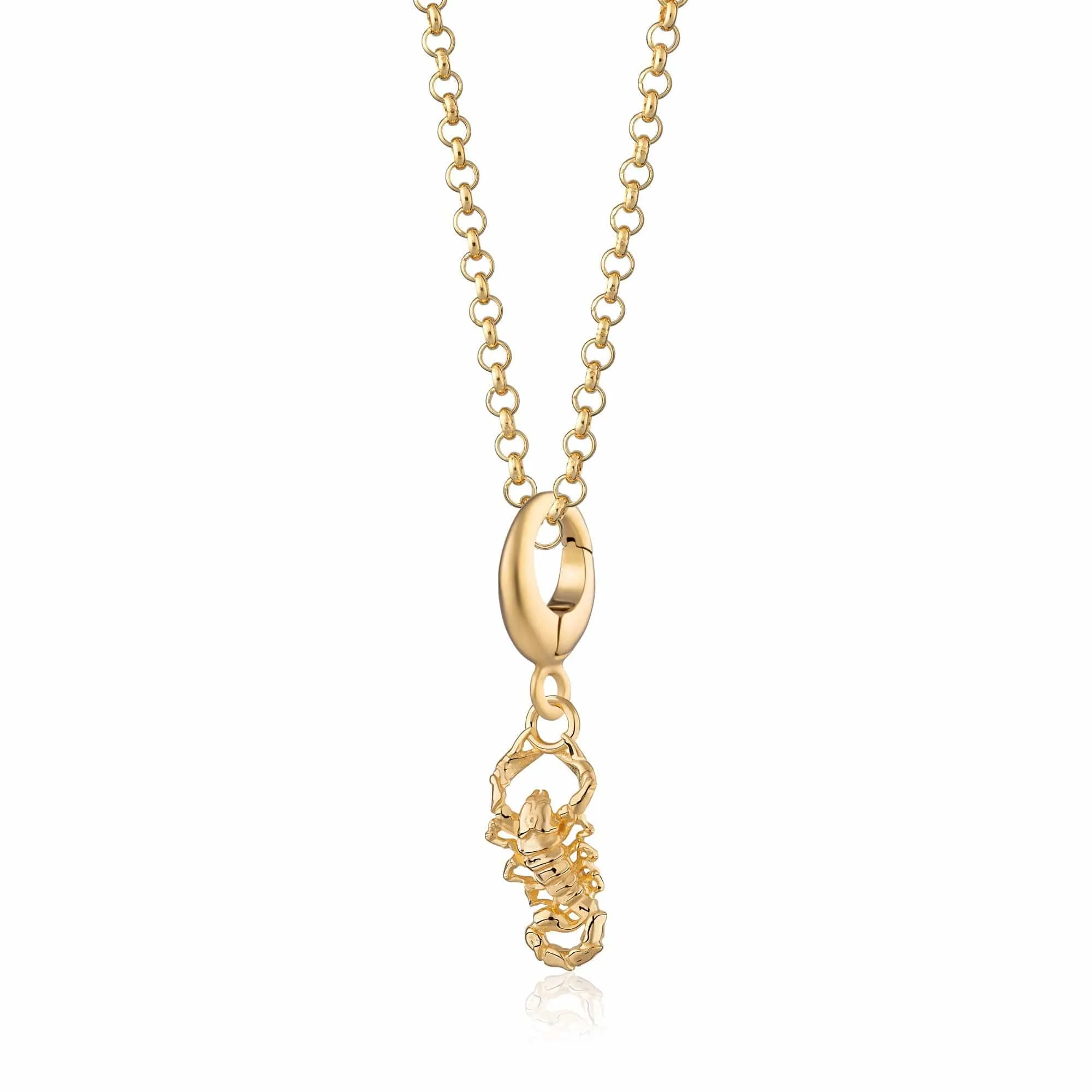 Gold Scorpion Charm Necklace sold by Lily Charmed