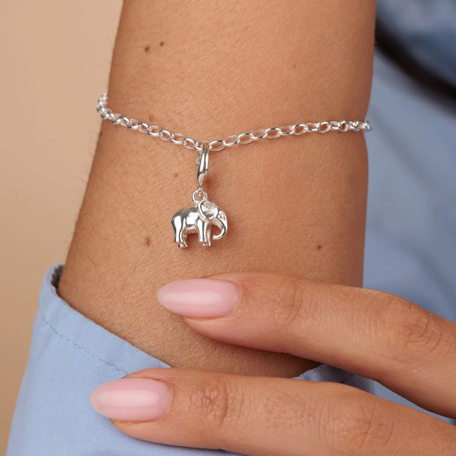 Silver Elephant Charm Bracelet sold by Lily Charmed product image thumbnail 2
