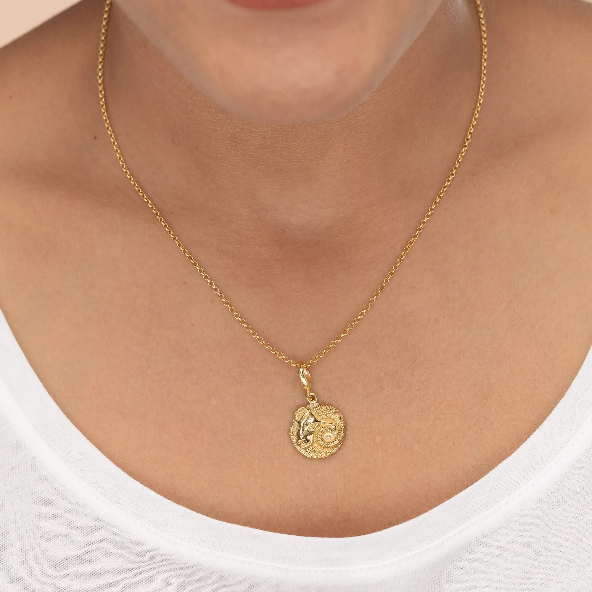 Engraved Gold Aries Zodiac Charm Necklace sold by Lily Charmed product image thumbnail 2