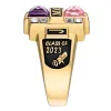 Men's 14K Gold over Sterling Double Birthstone & CZ Rectangle Class Ring sold by Limoges Jewelry