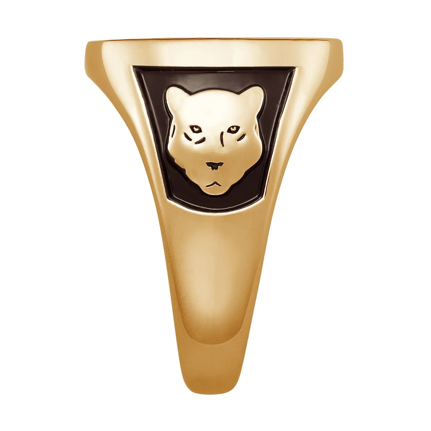 Men's Yellow CELEBRIUM Signet Oval Class Ring sold by Limoges Jewelry product image thumbnail 4