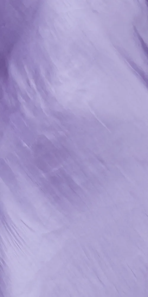 Indra Maxi Dress Grape sold by Maison Rogue product image thumbnail 4