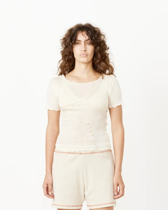 Gerrymandered Tee sold by Mohawk General Store