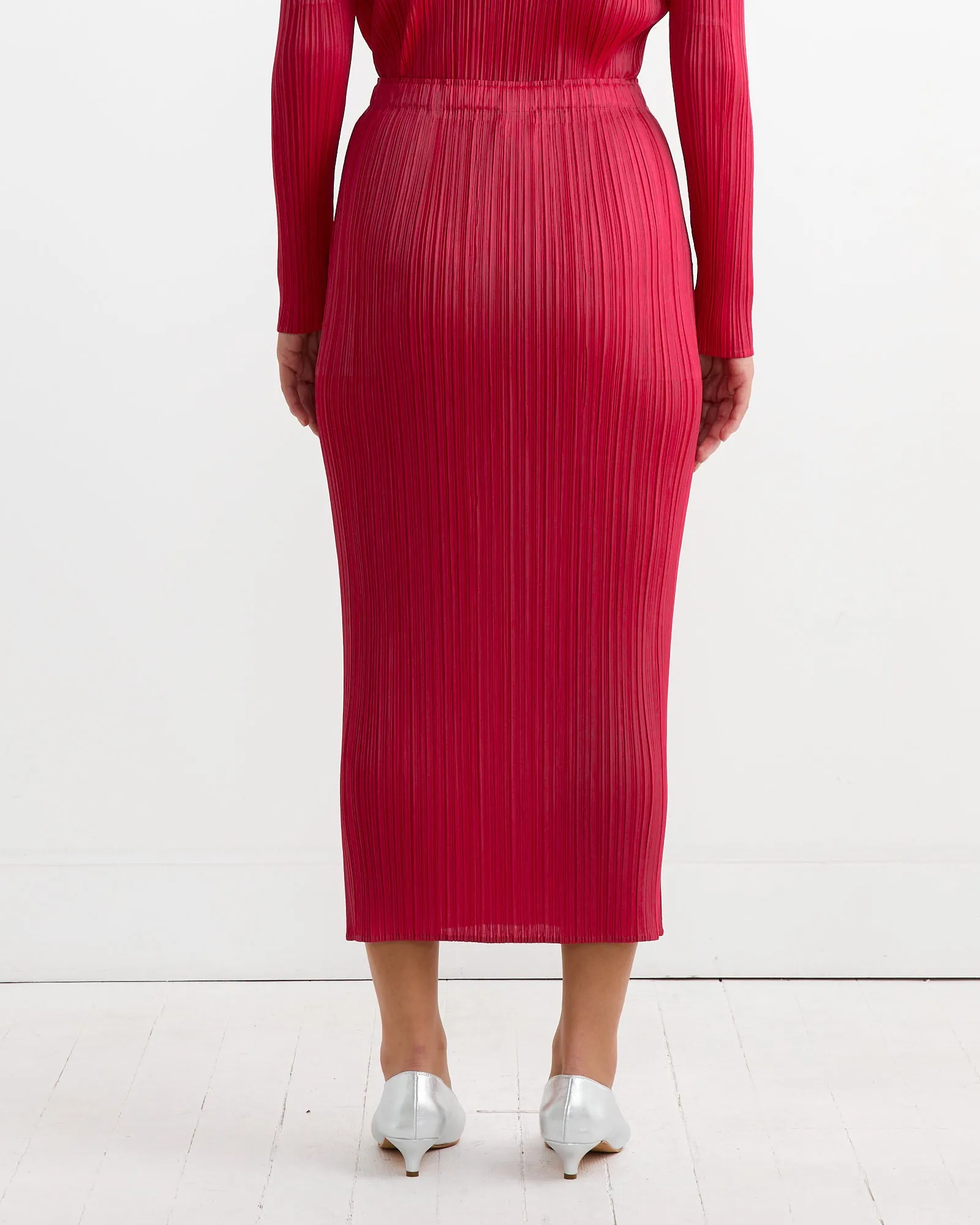 NC Basics 4 Skirt in Carmine sold by Mohawk General Store product image thumbnail 5