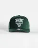 Chicago Bulls Clear Fields 5 Panel Snapback Dark Green sold by Neverland