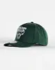 Chicago Bulls Clear Fields 5 Panel Snapback Dark Green sold by Neverland