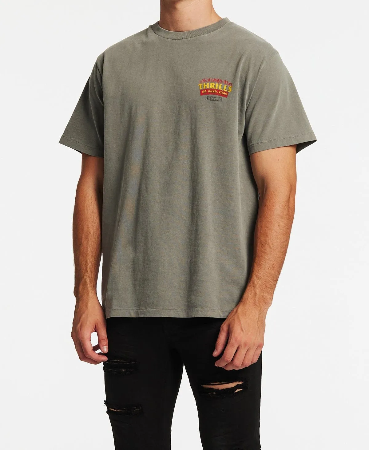 Wings Of Fire Merch Fit T-Shirt Washed Grey sold by Neverland product image thumbnail 3