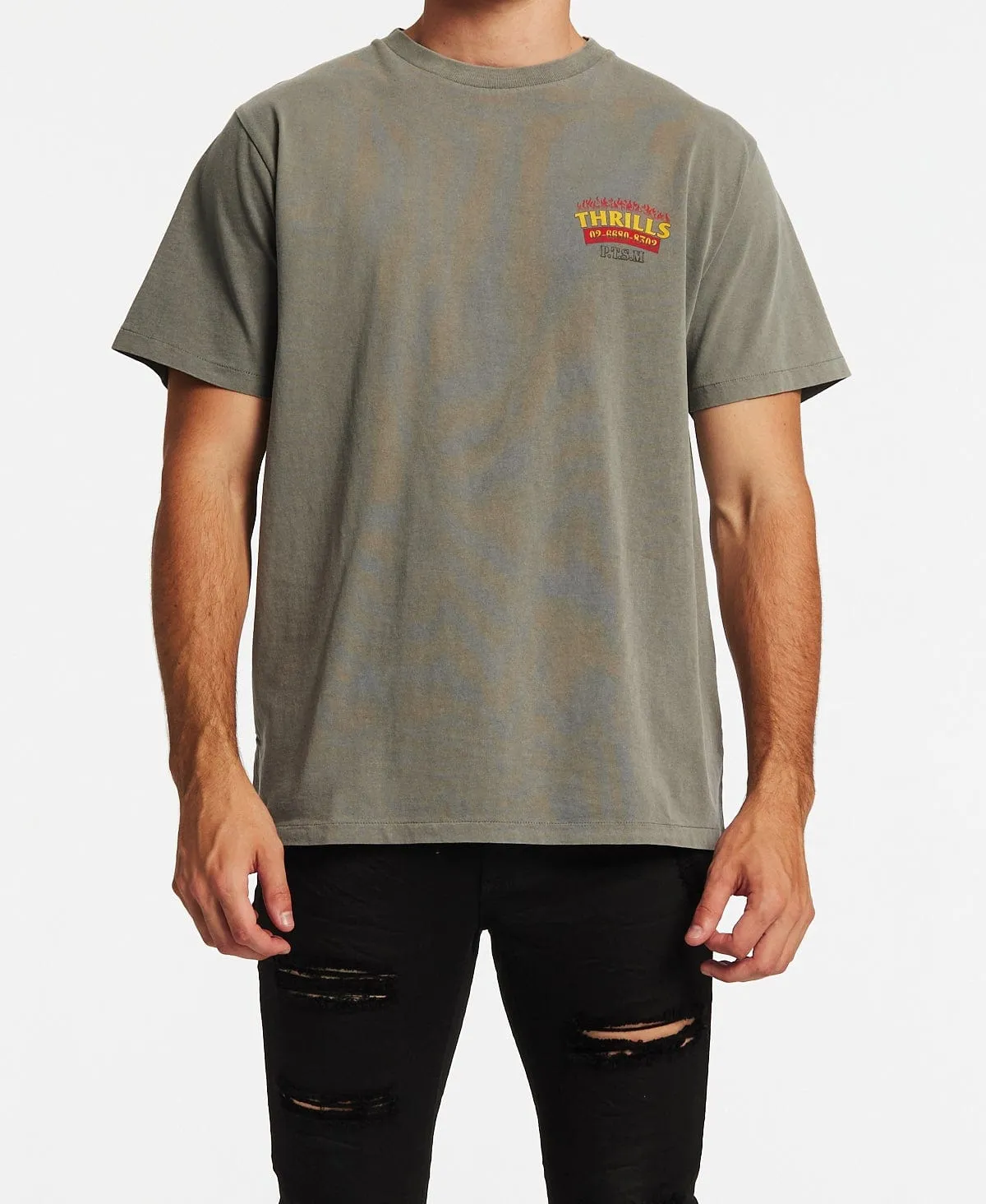 Wings Of Fire Merch Fit T-Shirt Washed Grey sold by Neverland product image thumbnail 2