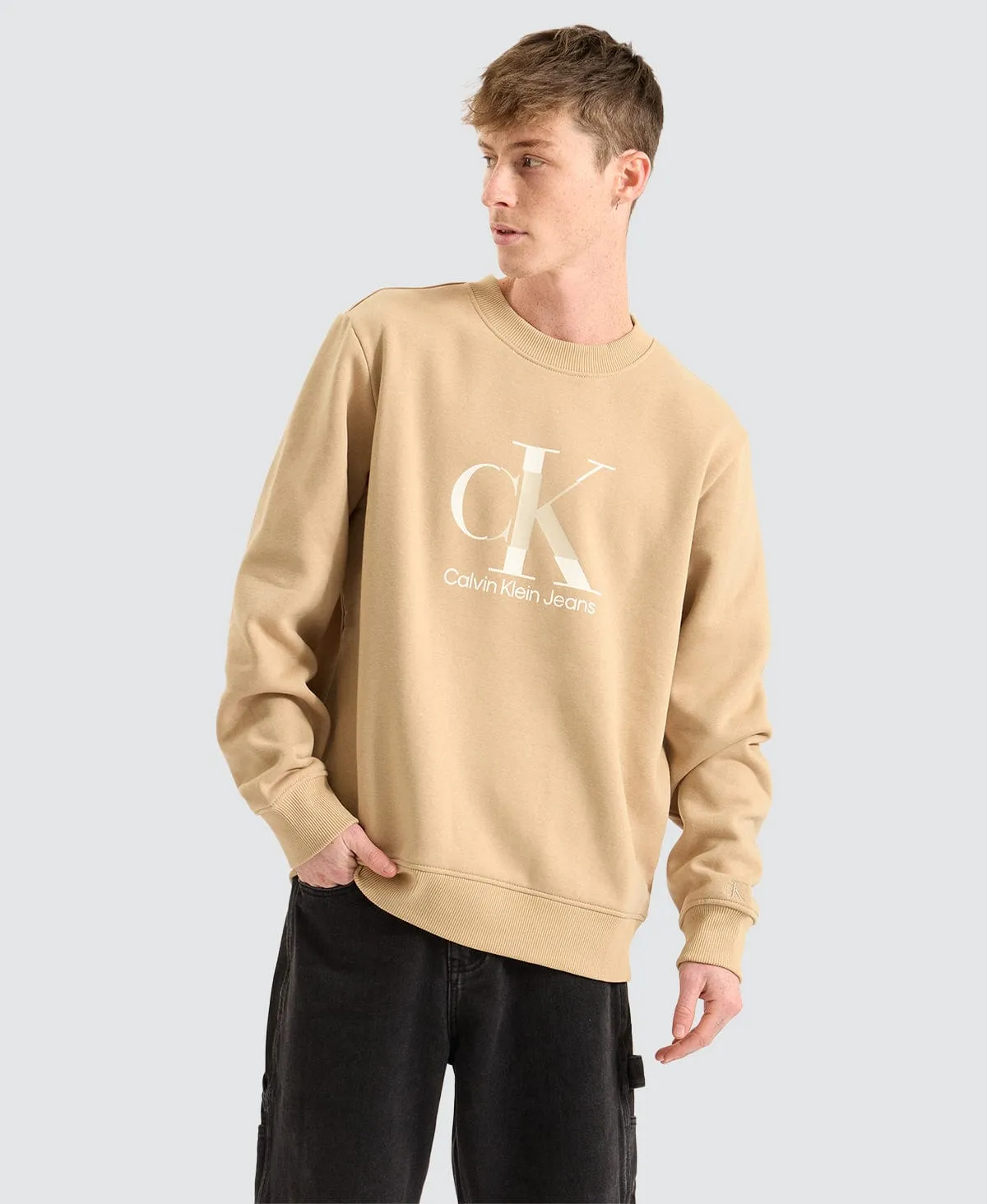 Disrupted Monologo Crew Neck Jumper Travertine Brown sold by Neverland