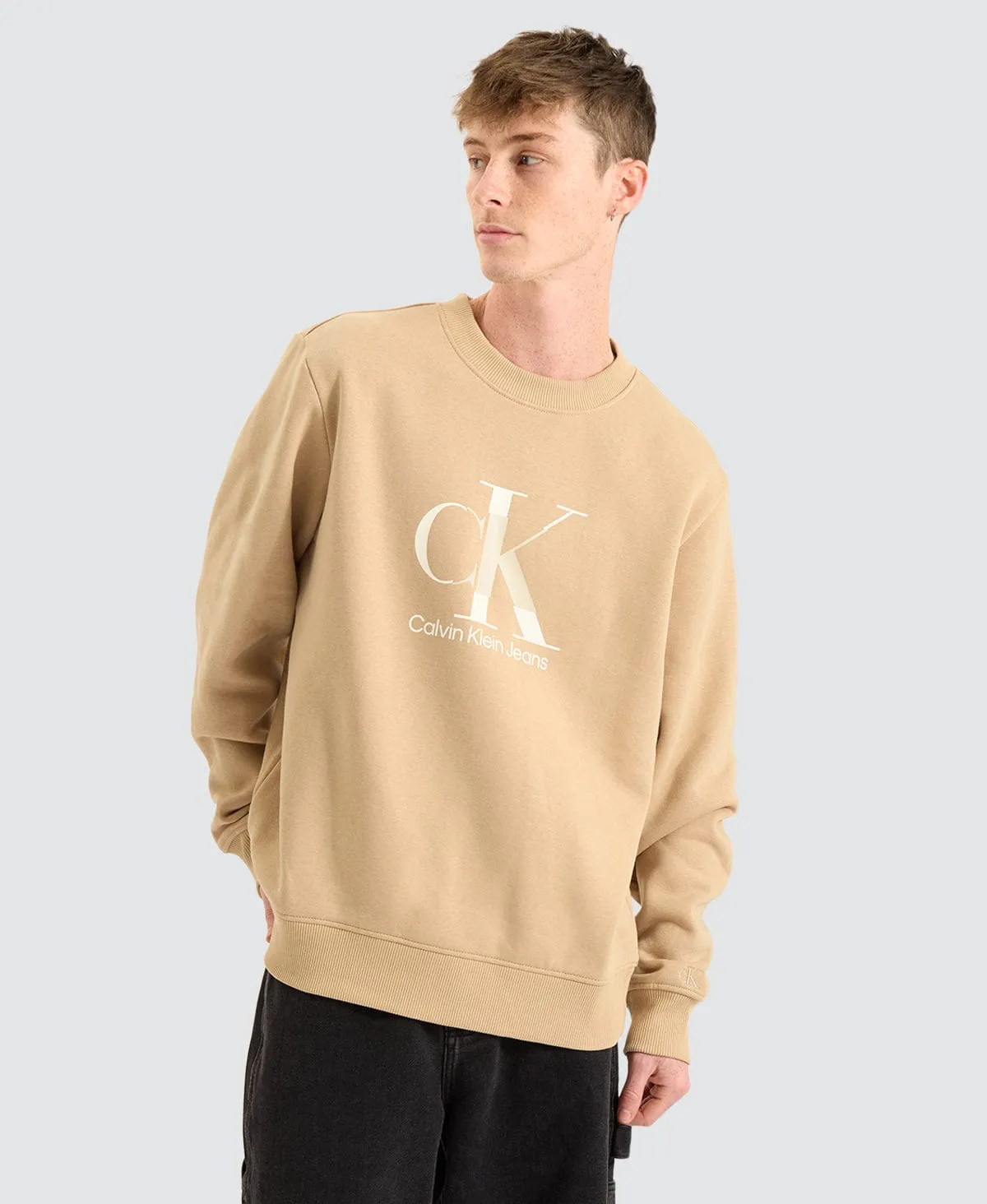 Disrupted Monologo Crew Neck Jumper Travertine Brown sold by Neverland product image thumbnail 5