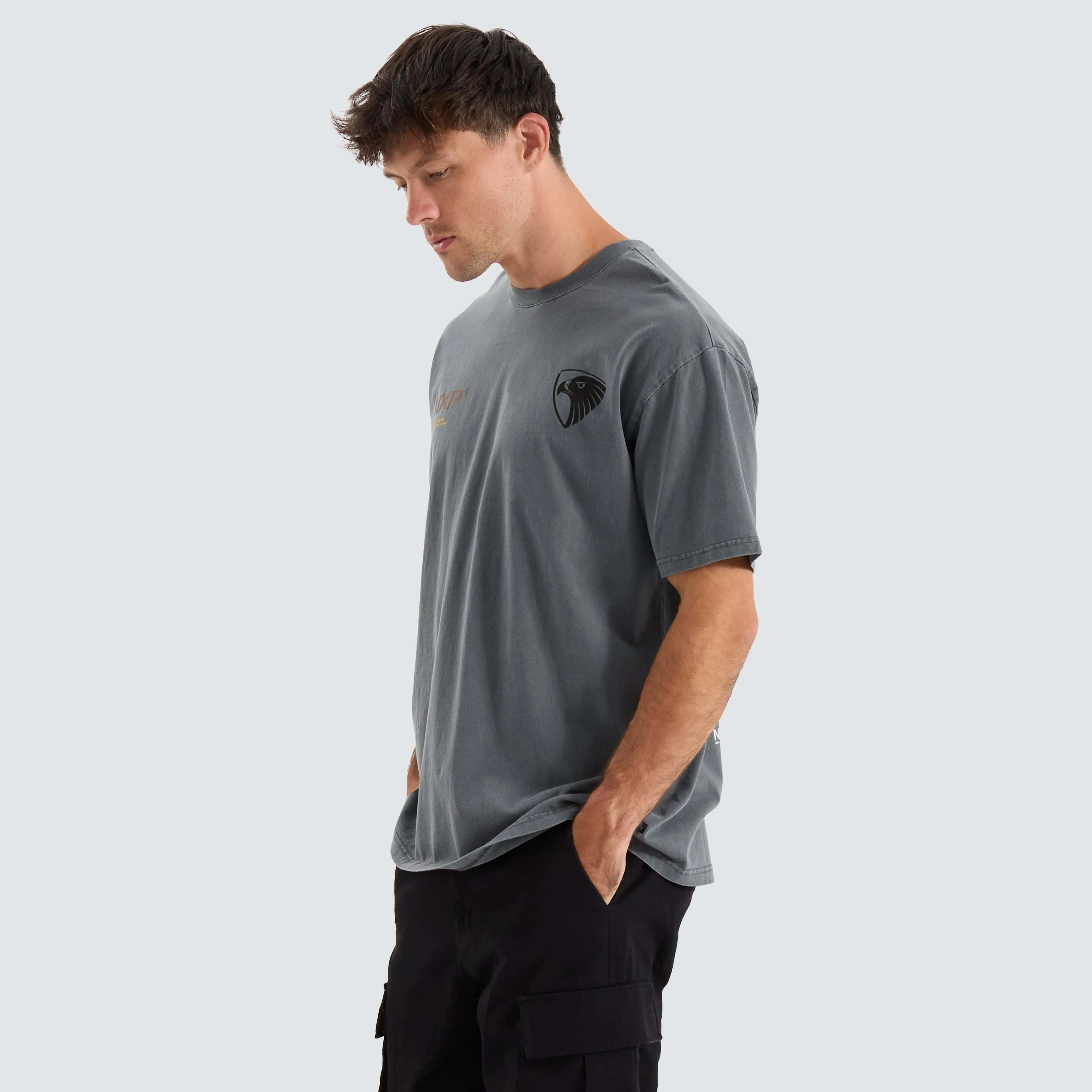 Hawthorn Hawks AFL Box Fit Tee Pigment Charcoal sold by Neverland product image thumbnail 4