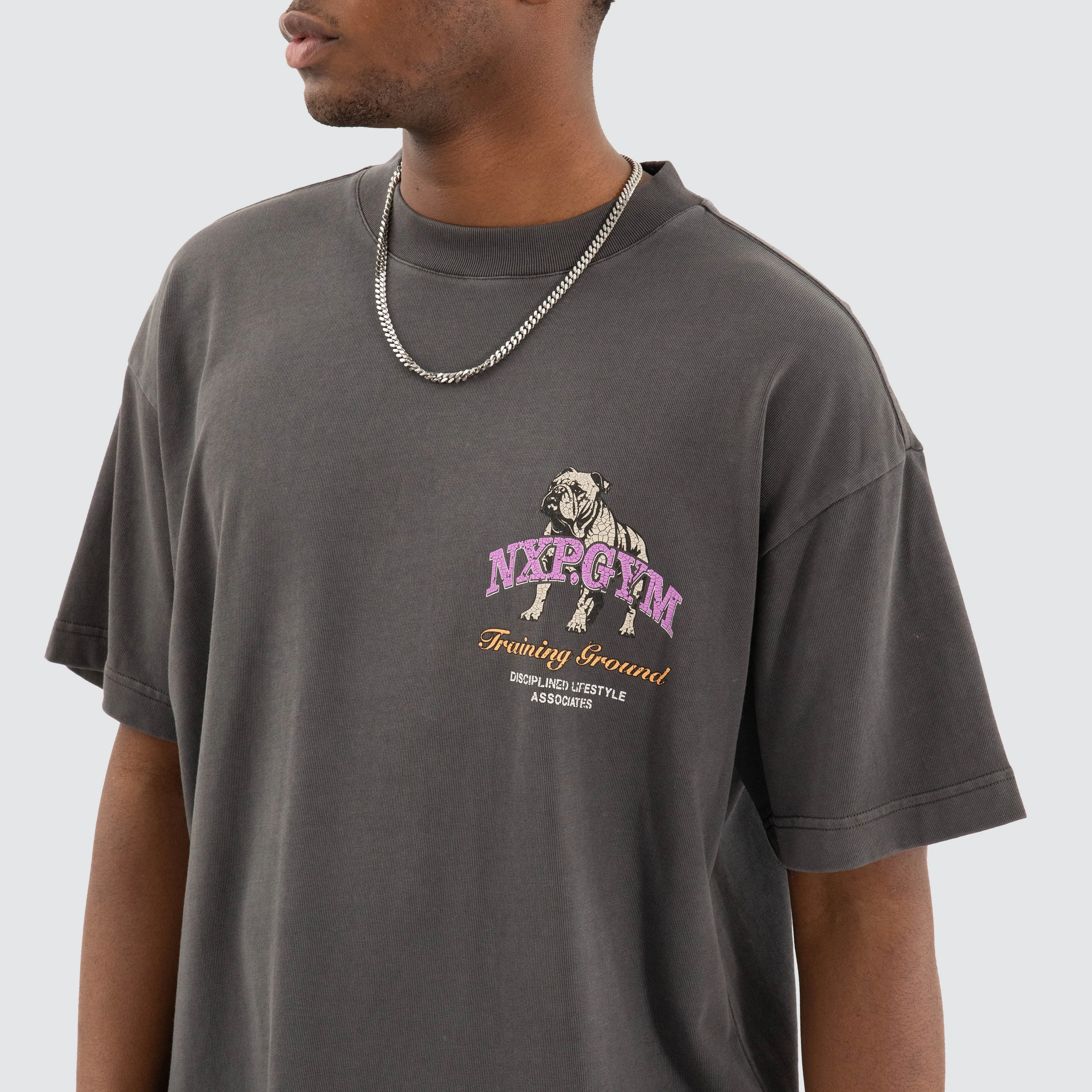 Parole Raptor Tee Pigment Asphalt Grey sold by Neverland product image thumbnail 4