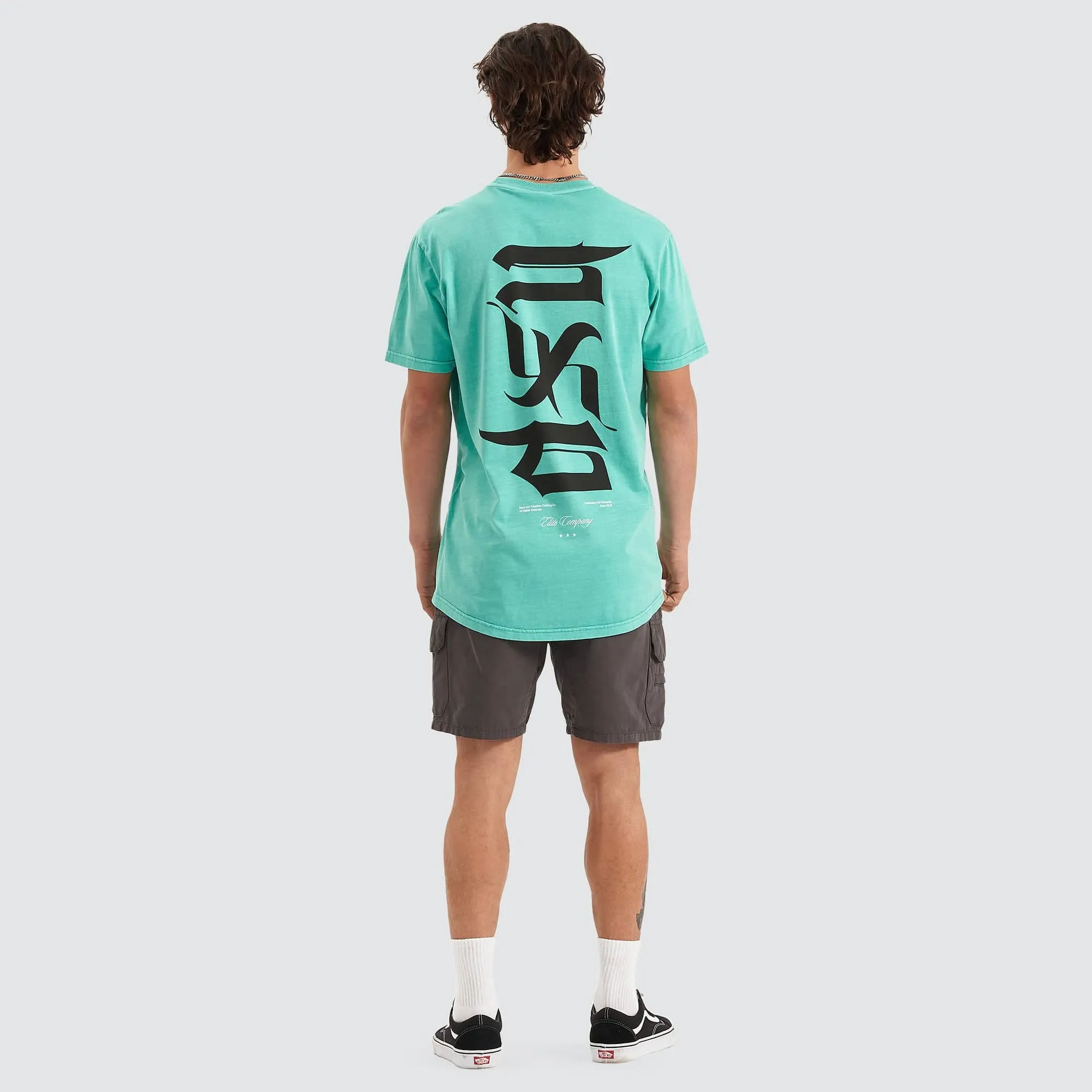 Scripted Cape Back T-Shirt Pigment Mint Green sold by Neverland product image thumbnail 5