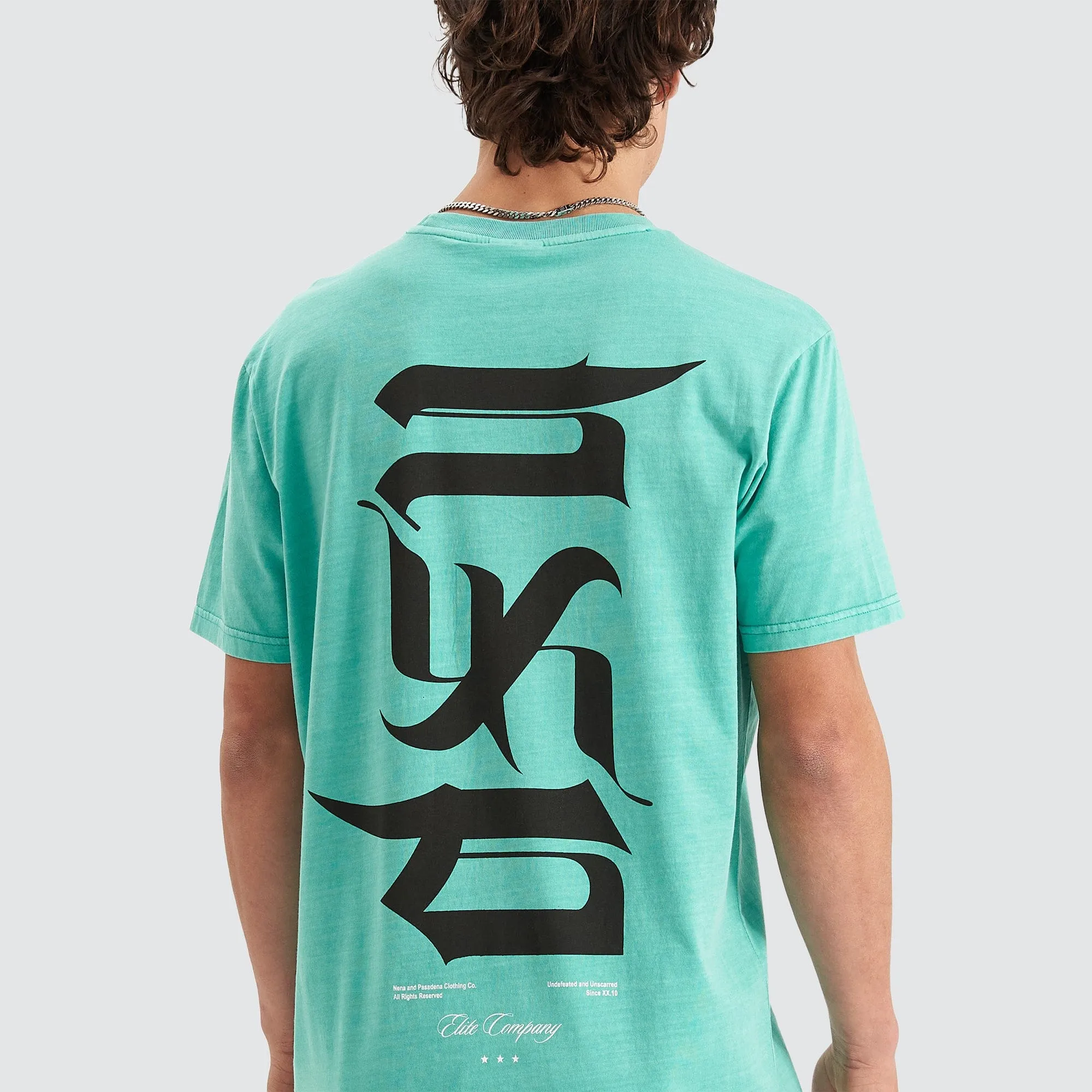 Scripted Cape Back T-Shirt Pigment Mint Green sold by Neverland product image thumbnail 4