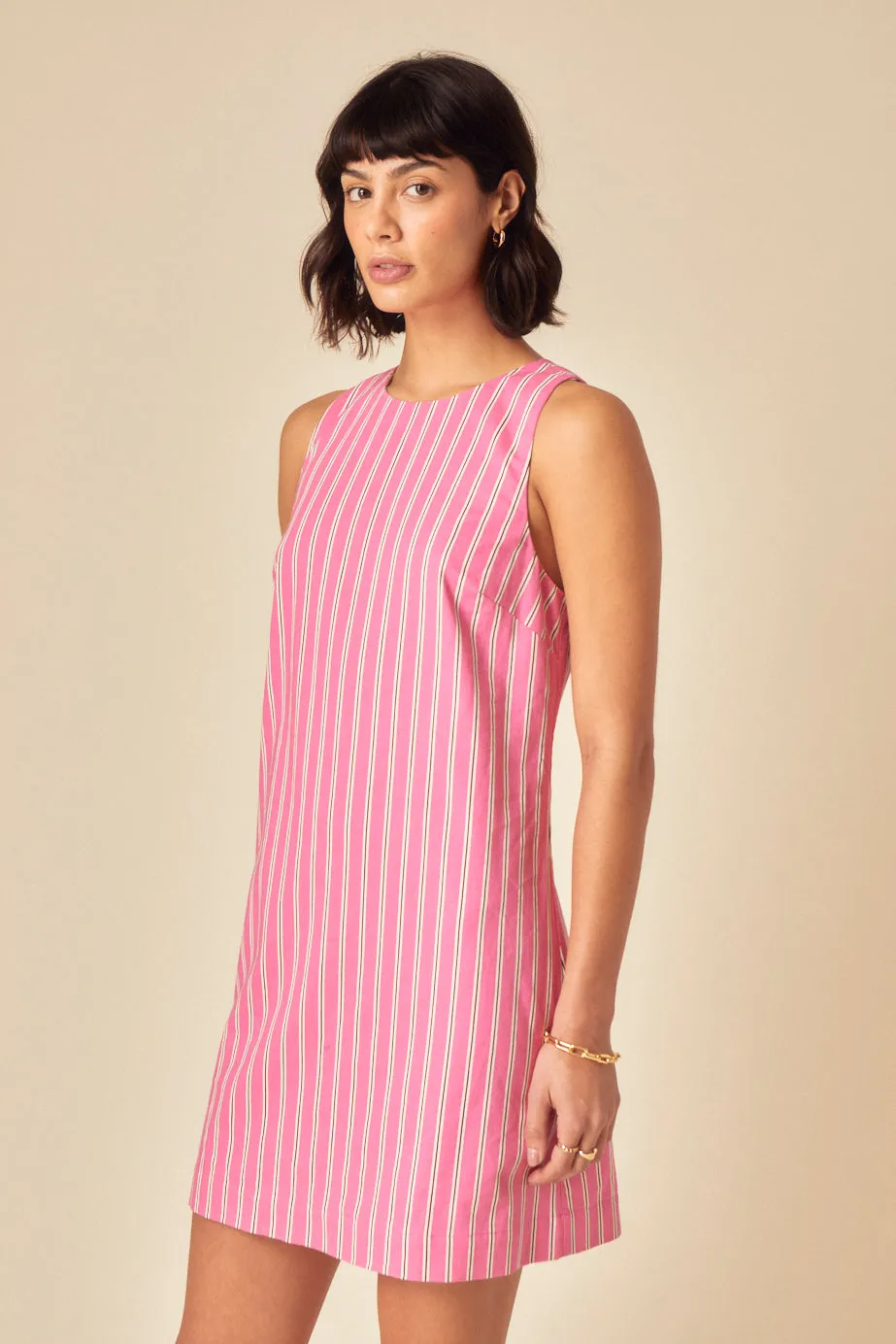 Pink Pinstripe Palermo Mini Dress sold by Nobody's Child product image thumbnail 3