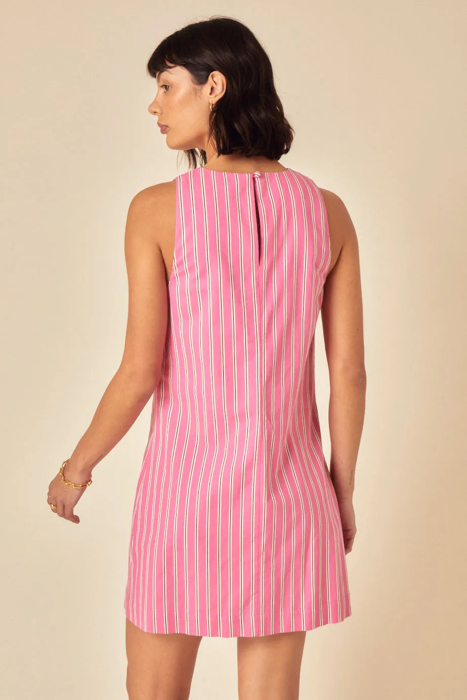 Pink Pinstripe Palermo Mini Dress sold by Nobody's Child product image thumbnail 5