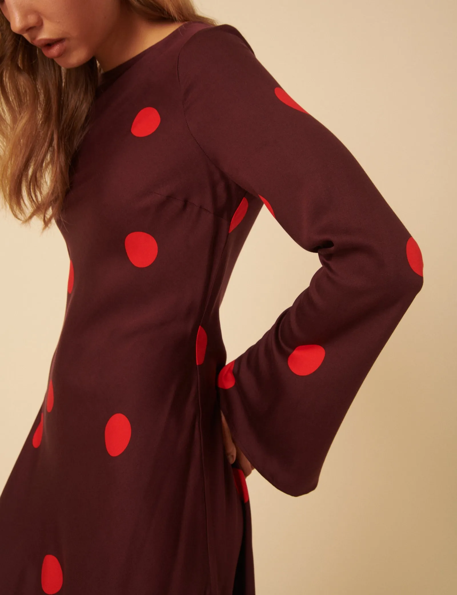 Burgundy Polka Dot Long Sleeve Romy Mini Dress sold by Nobody's Child product image thumbnail 3
